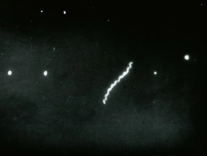 Photomicrographie de Treponema pallidum en fond noir, 1961.
